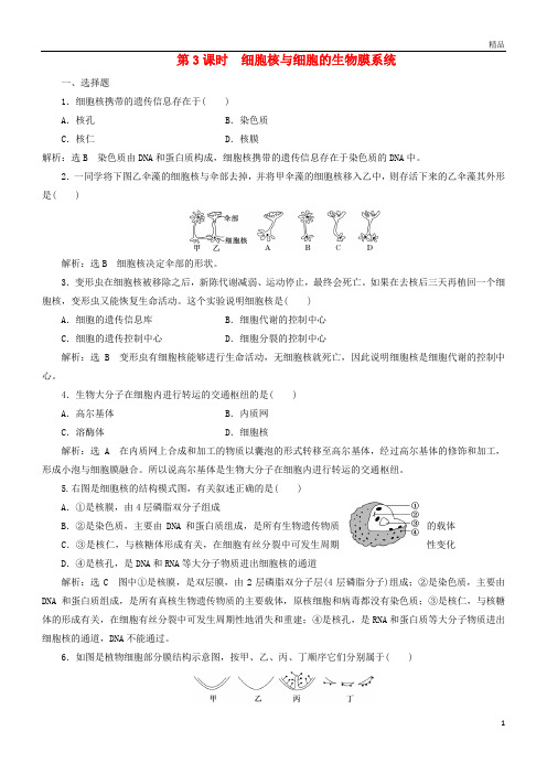 2019高中生物第三章第二节第3课时细胞核与细胞的生物膜系统课时作业苏教版必修1