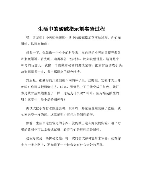 生活中的酸碱指示剂实验过程