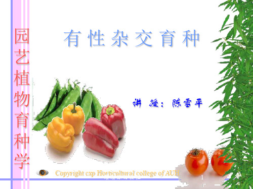 园艺植物育种学.pptx