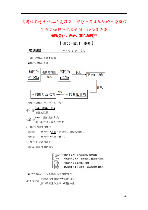 通用版高考生物二轮复习第1部分专题4细胞的生命历程考点2细胞分化衰老凋亡和癌变教案