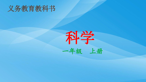 教科版一年级科学1.5植物是“活”的吗课件生物课件PPT