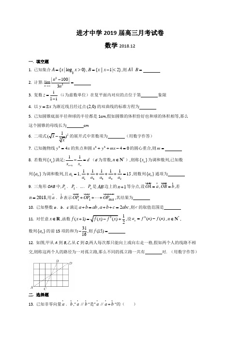 上海市进才中学2019届高三12月月考数学试题(WORD版)