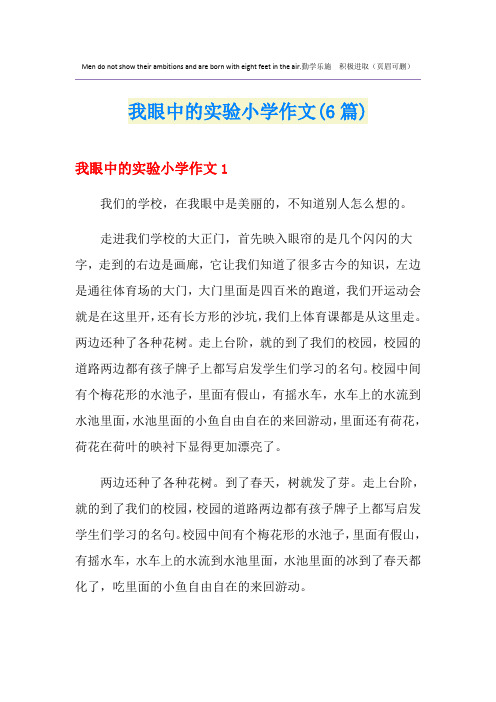 我眼中的实验小学作文(6篇)