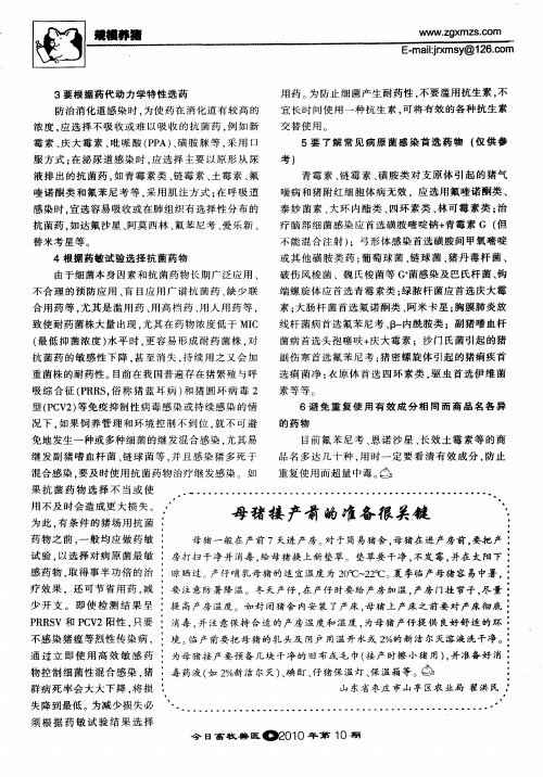 母猪接产前的准备很关键