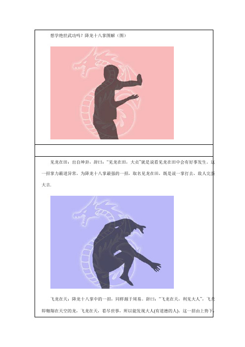 降龙十八掌图解(图)