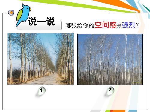 小学美术绘画中的透视现象PPT课件