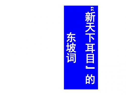 《“新天下耳目”的东坡词.》