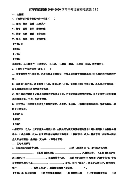 辽宁省盘锦市2019-2020学年中考语文模拟试题(3)含解析