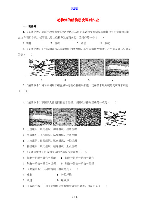 七年级生物上册 2.2.2 动物体的结构层次课后作业 (新版)新人教版-(新版)新人教版初中七年级上
