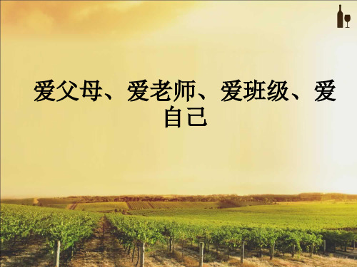 爱父母、爱老师、爱班级、爱自己ppt课件