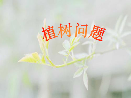 PPT教学课件三年级数学植树问题
