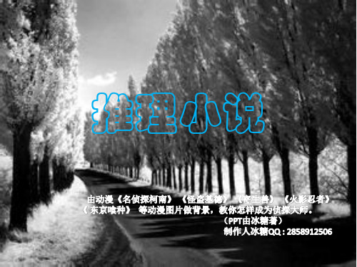 成为侦探小说大神必看ppt