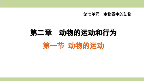 鲁科版五四制八年级上册生物 2.1 动物的运动 重点习题练习复习课件