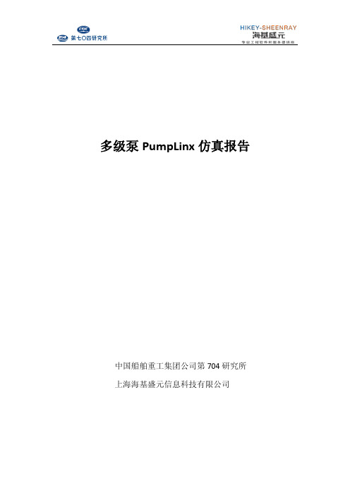 多级泵 PumpLinx 仿真报告