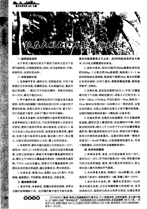 秋茬大棚西红柿高产栽培技术