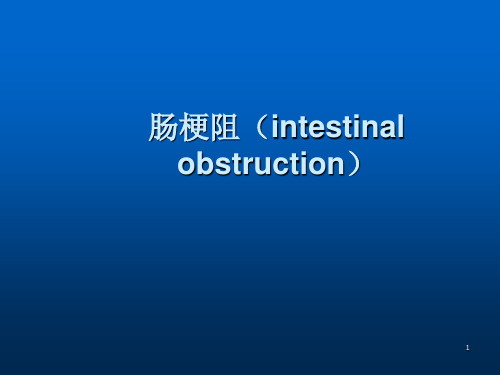 肠梗阻病例汇报