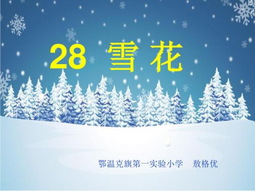 28雪花课件2