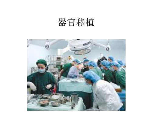 4器官移植
