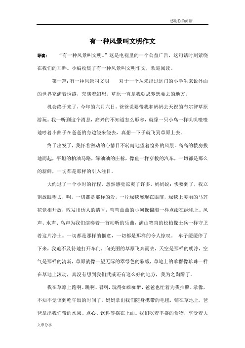 有一种风景叫文明作文