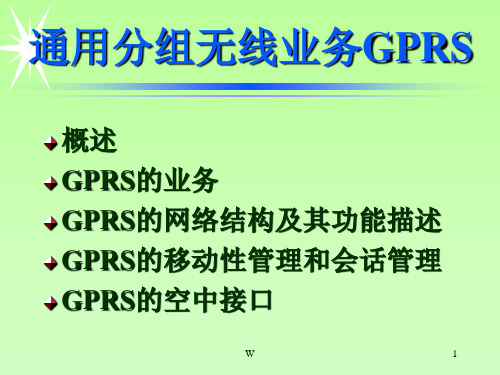 GPRS 移动通信系统
