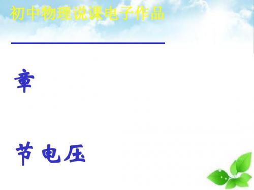 电压ppt课件14