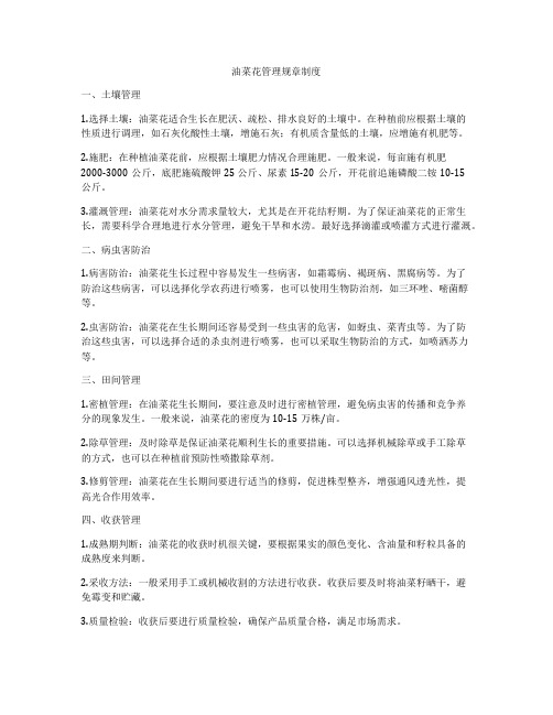 油菜花管理规章制度