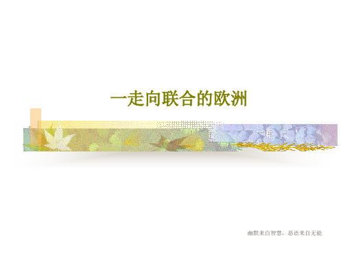 一走向联合的欧洲26页PPT