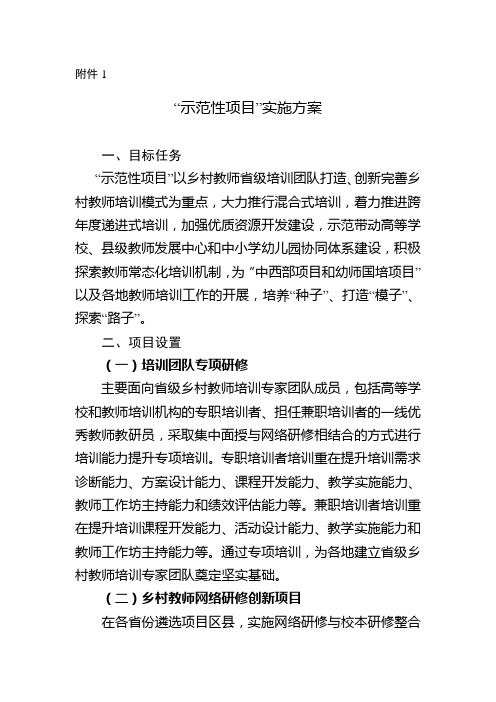 “示范性项目”实施方案