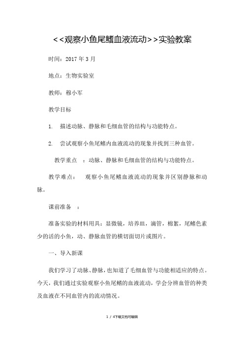 观察小鱼尾鳍的血液流动