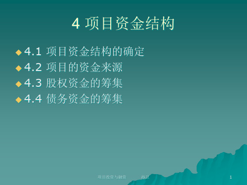 项目资金结构与资金来源