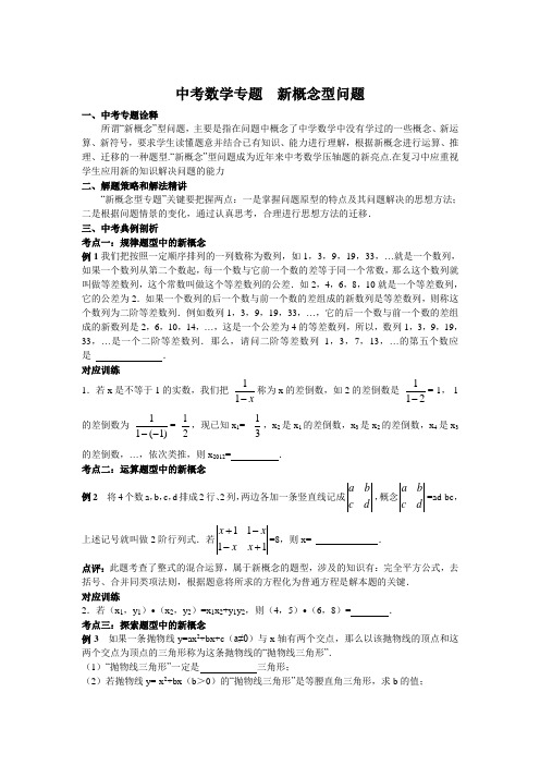中考数学专题新概念型问题