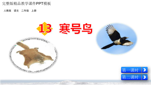 寒号鸟部编版二年级语文PPT课件