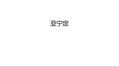 亚宁定备课讲稿