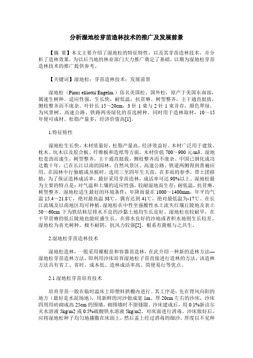 分析湿地松芽苗造林技术的推广及发展前景