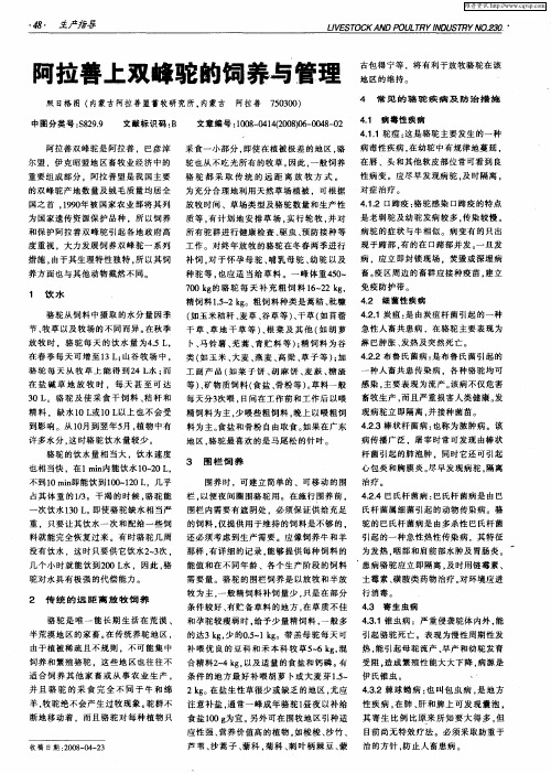 阿拉善上双峰驼的饲养与管理