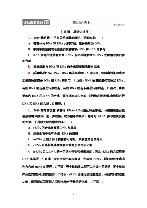 人教版高中生物一轮复习(基因的表达