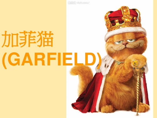 加菲猫介绍
