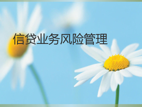 贷款业务培训信贷业务风险管理ppt课件