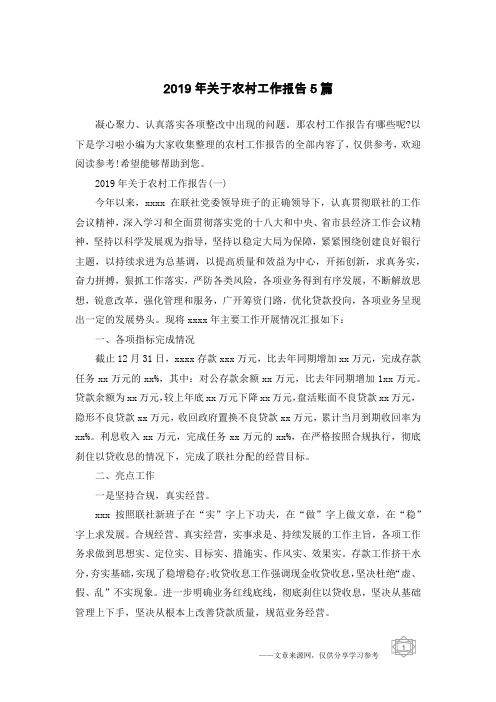 2019年关于农村工作报告5篇