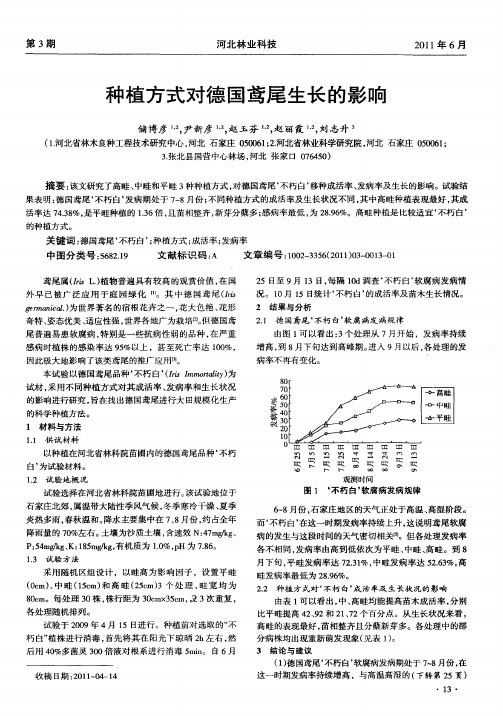 种植方式对德国鸢尾生长的影响