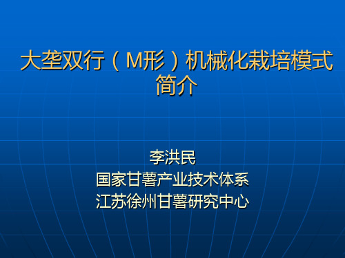 大垄双行作业模式