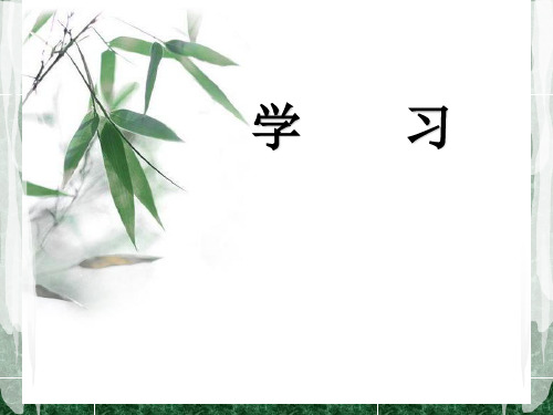 学习与记忆PPT课件