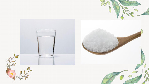 科学《水变咸了》课件