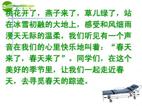 1.《寻觅春天的踪迹》课件 人教新课标版