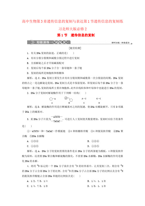 高中生物第3章遗传信息的复制与表达第1节遗传信息的复制练习北师大版必修2