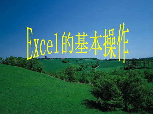 初二信息技术用Excel 处理数据