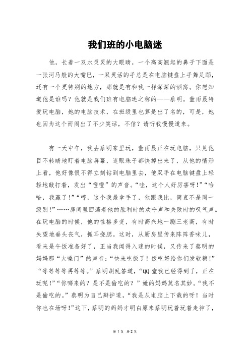 我们班的小电脑迷_初一作文