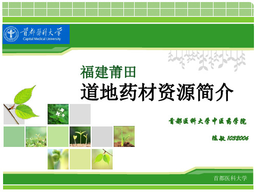 福建莆田中药道地药材简介——首都医科大学陈敏