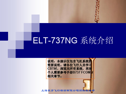 ELT-737NG系统