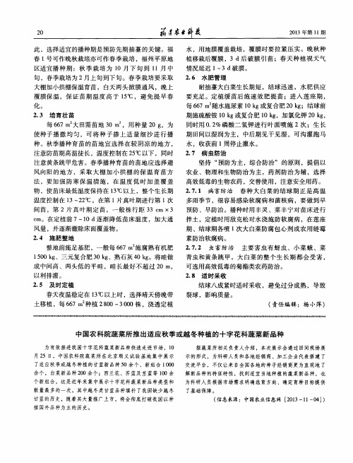 中国农科院蔬菜所推出适应秋季或越冬种植的十字花科蔬菜新品种